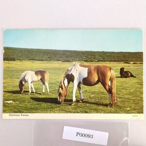 Vintage 1960s Postcard Dartmoor Ponies ETW Dennis Photocolour Devon England
